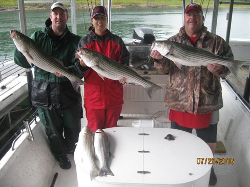 Nice Striped Bass